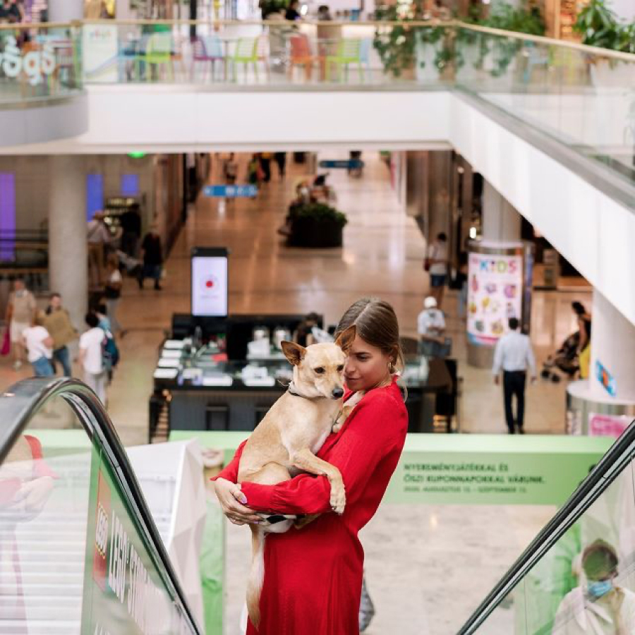 Girl with dog